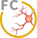 Fundus Camera