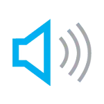 Voice Guide