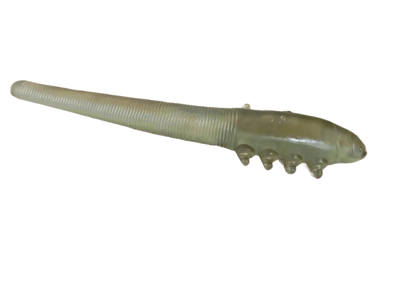 BlephEx® Demodex Mite Model